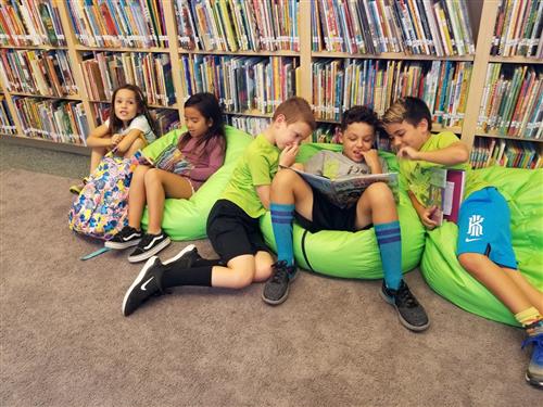 Library Homepage 